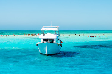 Similar image 22603009