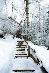 Similar image 22603010