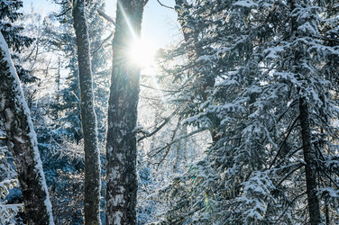 Similar image 22603013