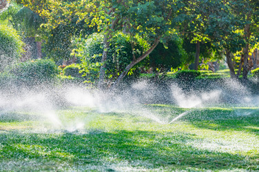 Similar image 22603014