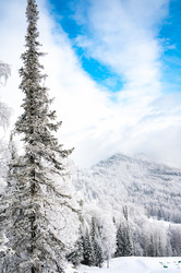 Similar image 22603015