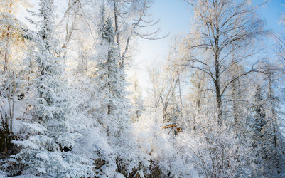 Similar image 22603017