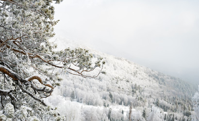 Similar image 22603018