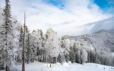 Similar image 22603020