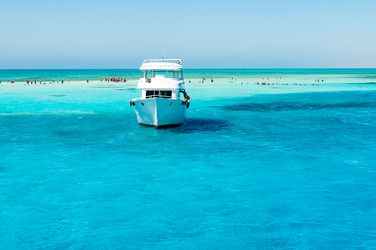 Similar image 22603023