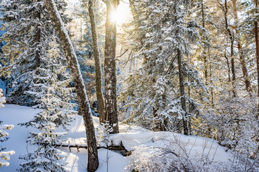 Similar image 22603024