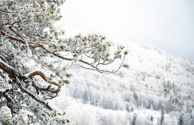 Similar image 22603027