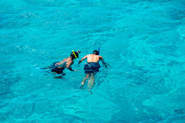 Similar image 22603028