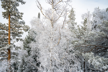 Similar image 22603029