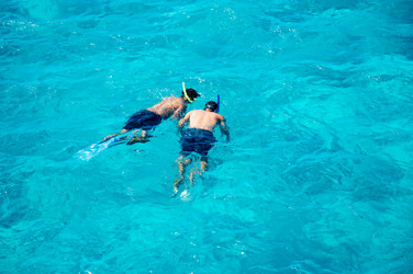 Similar image 22603032