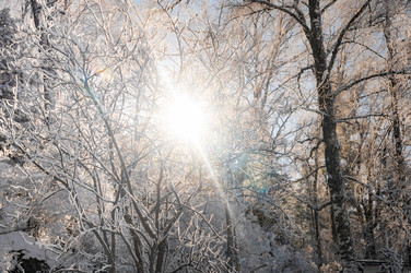 Similar image 22603034