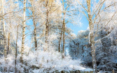 Similar image 22603037