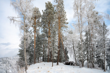 Similar image 22603038