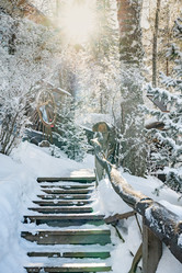 Similar image 22603039