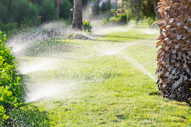 Similar image 22603041