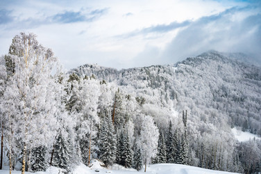 Similar image 22603043