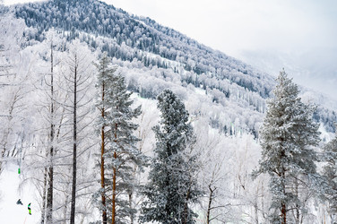 Similar image 22603048