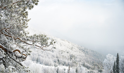 Similar image 22603049