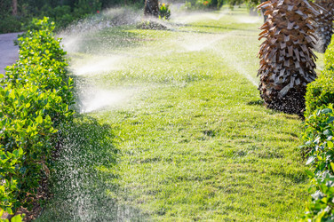 Similar image 22603051