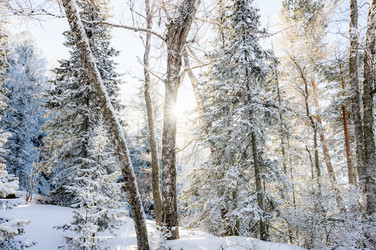 Similar image 22603052