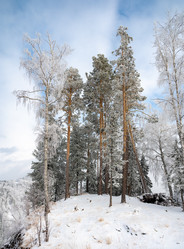 Similar image 22603054