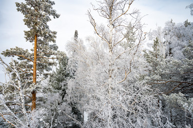 Similar image 22603056