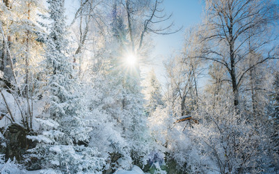 Similar image 22603061