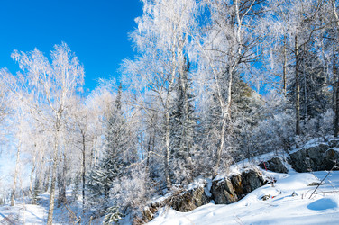 Similar image 22603062