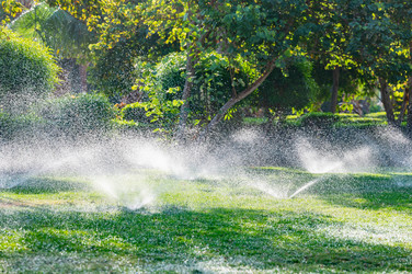 Similar image 22603064