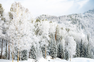 Similar image 22603069