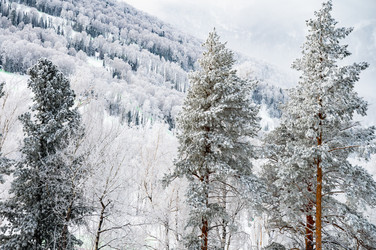 Similar image 22603079