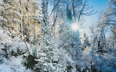 Similar image 22603080