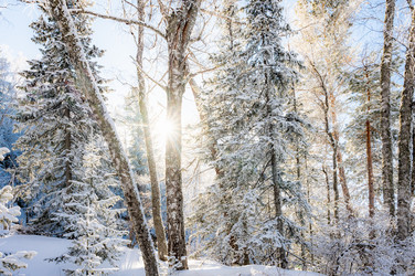 Similar image 22603082