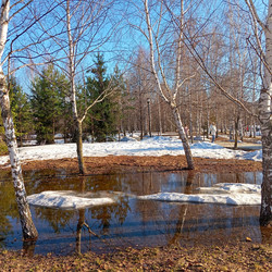 Similar image 22602117