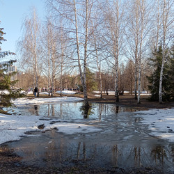 Similar image 22602118