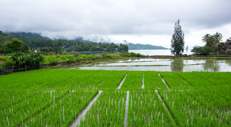 Similar image 22602144