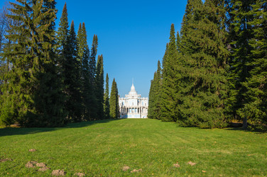 Similar image 22602162