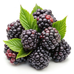 Similar image 22608832