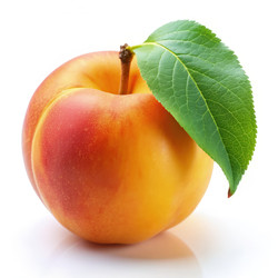 Similar image 22608932