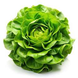 Similar image 22609071