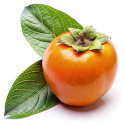 Similar image 22609135