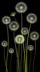 Similar image 22609151