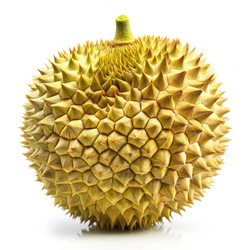 Similar image 22605753