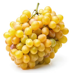 Similar image 22605782