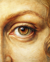 Similar image 22608987