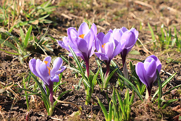 Similar image 22617194