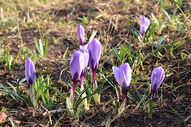 Similar image 22617195