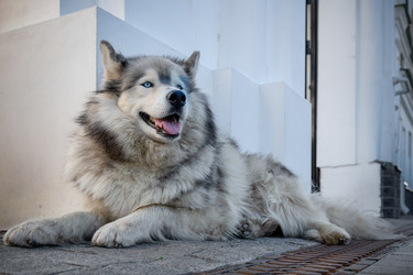 Similar image 22608313