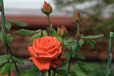 Similar image 22602965