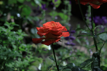 Similar image 22602966